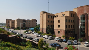 Department of Economics